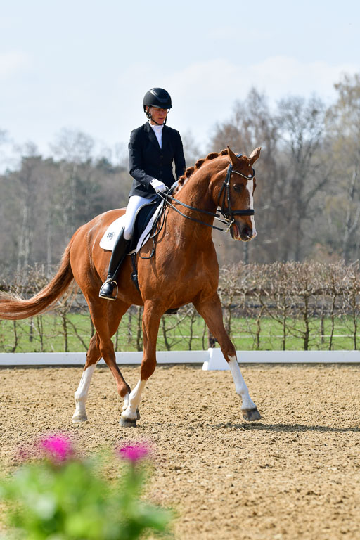 Reitsportzentrum Bremervörde | 10421 Dressur M++_208 