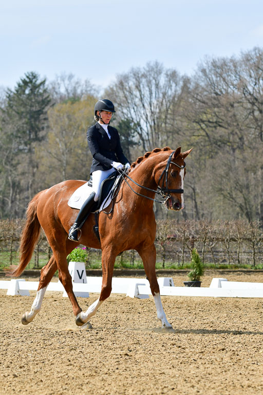 Reitsportzentrum Bremervörde | 10421 Dressur M++_210 