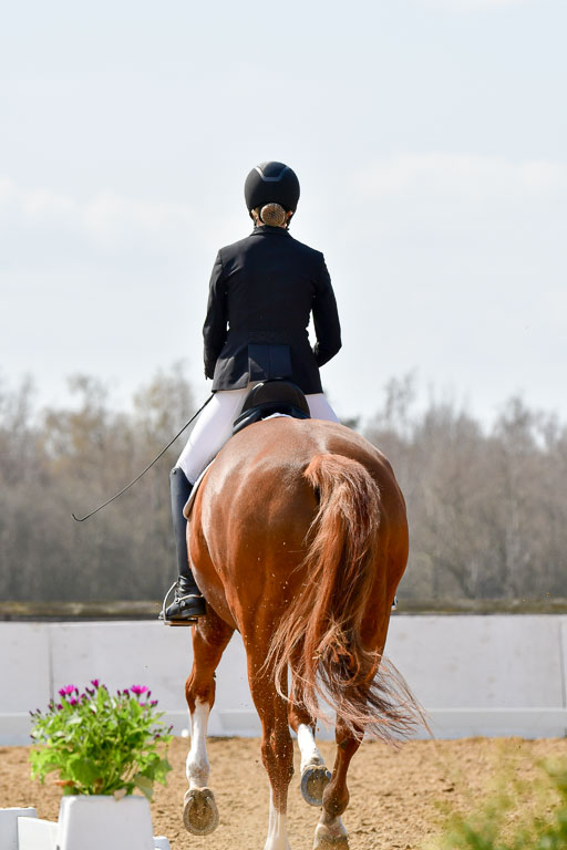 Reitsportzentrum Bremervörde | 10421 Dressur M++_213 