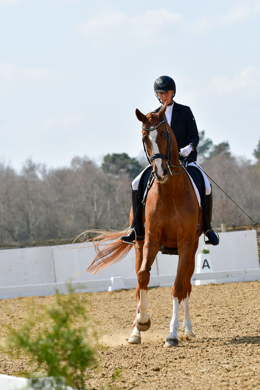 Reitsportzentrum Bremervörde | 10421 Dressur M++_217 