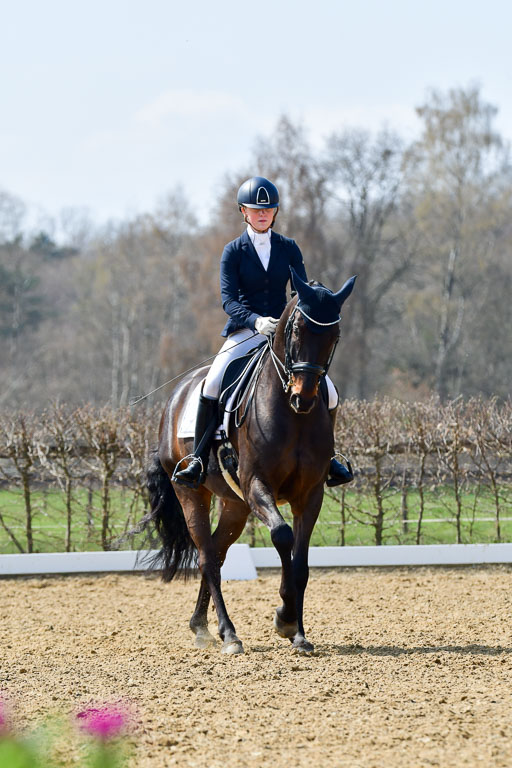 Reitsportzentrum Bremervörde | 10421 Dressur M++_219 