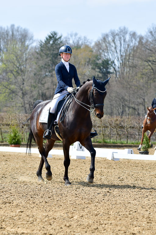 Reitsportzentrum Bremervörde | 10421 Dressur M++_220 