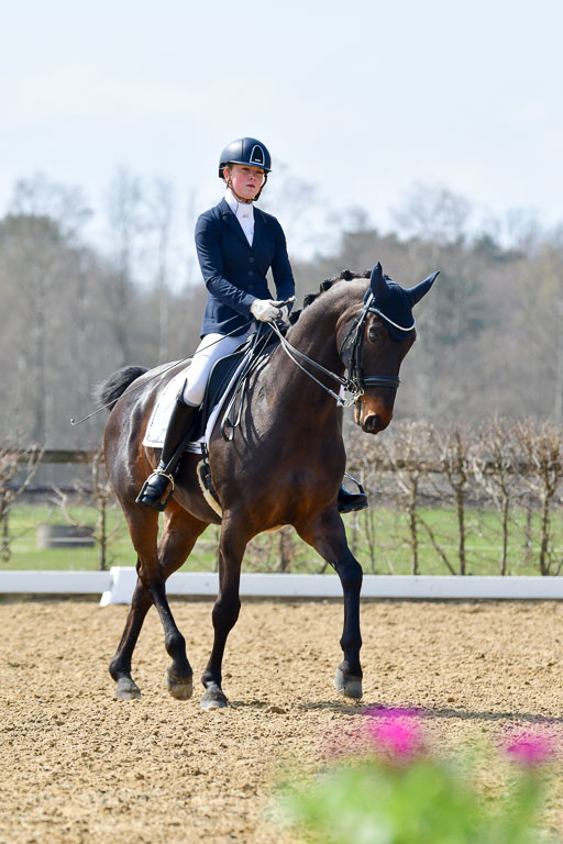 Reitsportzentrum Bremervörde | 10421 Dressur M++_221 