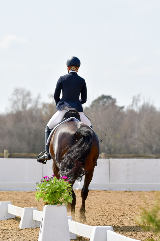 Reitsportzentrum Bremervörde | 10421 Dressur M++_227 