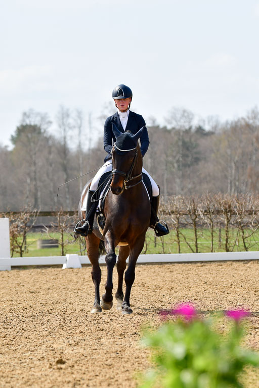 Reitsportzentrum Bremervörde | 10421 Dressur M++_228 