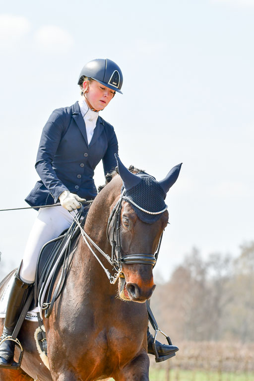 Reitsportzentrum Bremervörde | 10421 Dressur M++_229 