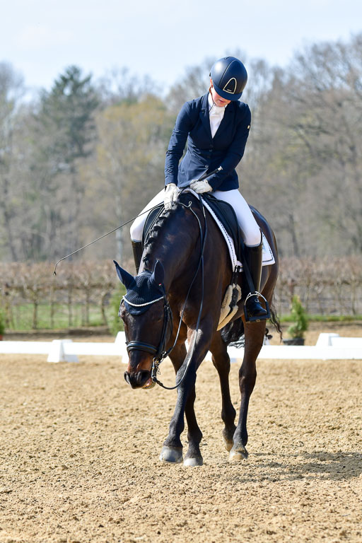 Reitsportzentrum Bremervörde | 10421 Dressur M++_231 