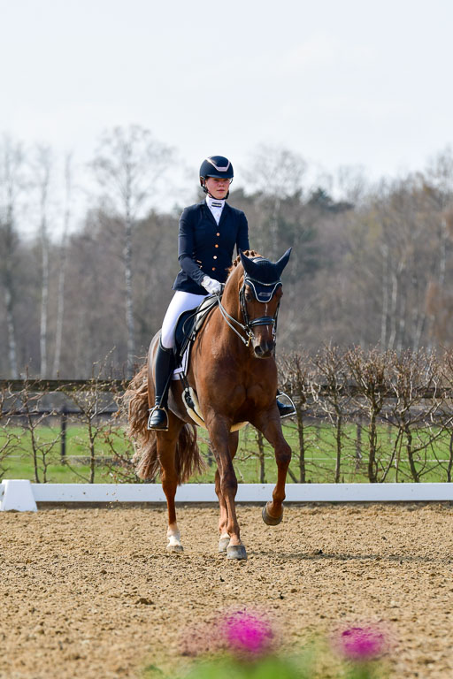 Reitsportzentrum Bremervörde | 10421 Dressur M++_233 