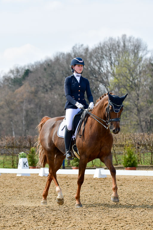 Reitsportzentrum Bremervörde | 10421 Dressur M++_234 