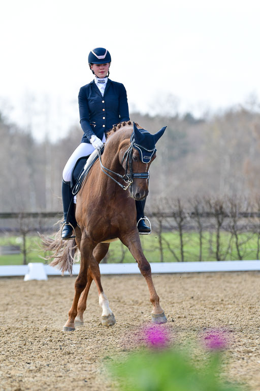 Reitsportzentrum Bremervörde | 10421 Dressur M++_235 