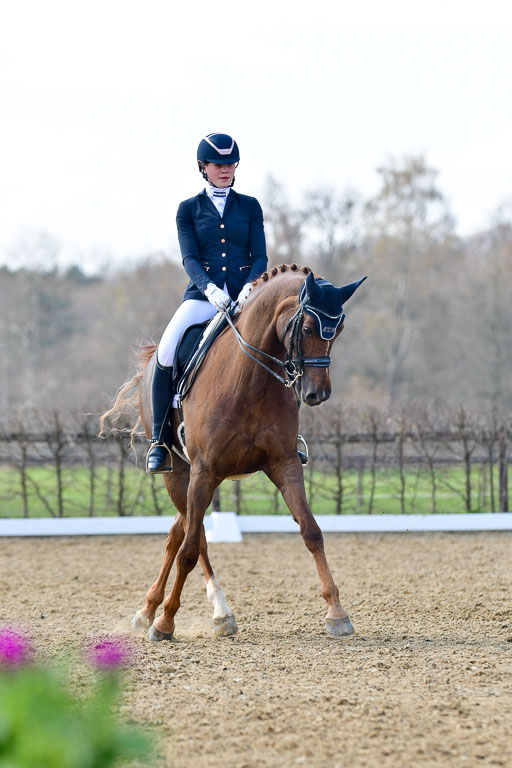 Reitsportzentrum Bremervörde | 10421 Dressur M++_236 