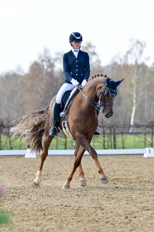 Reitsportzentrum Bremervörde | 10421 Dressur M++_237 