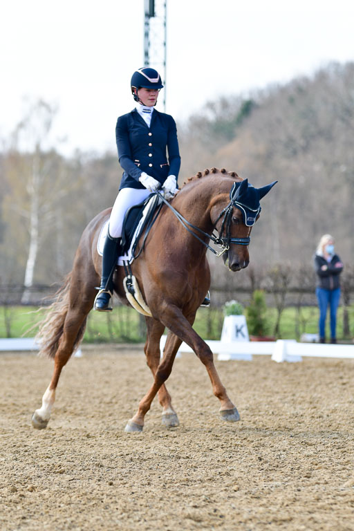 Reitsportzentrum Bremervörde | 10421 Dressur M++_239 