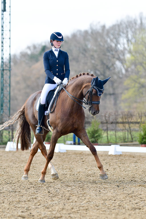 Reitsportzentrum Bremervörde | 10421 Dressur M++_240 