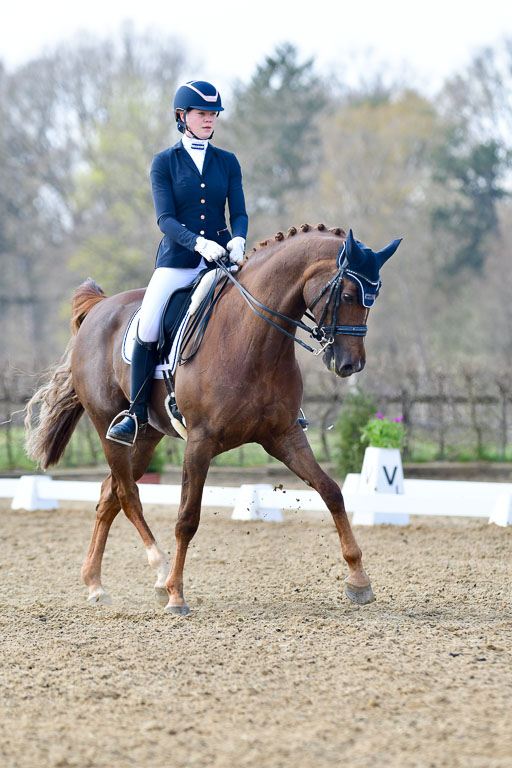 Reitsportzentrum Bremervörde | 10421 Dressur M++_241 