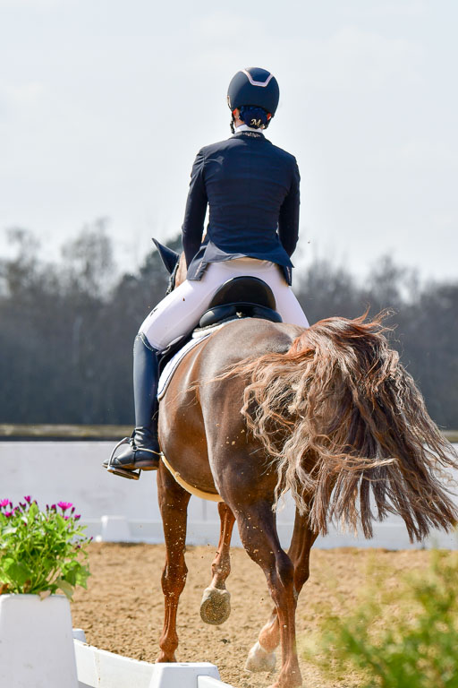 Reitsportzentrum Bremervörde | 10421 Dressur M++_243 