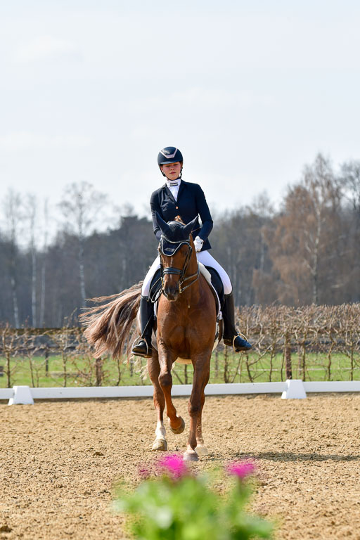 Reitsportzentrum Bremervörde | 10421 Dressur M++_244 