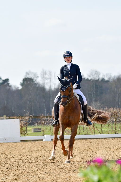 Reitsportzentrum Bremervörde | 10421 Dressur M++_245 