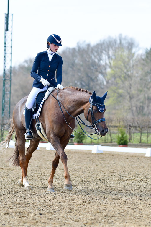 Reitsportzentrum Bremervörde | 10421 Dressur M++_246 