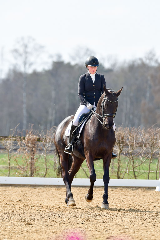 Reitsportzentrum Bremervörde | 10421 Dressur M++_250 