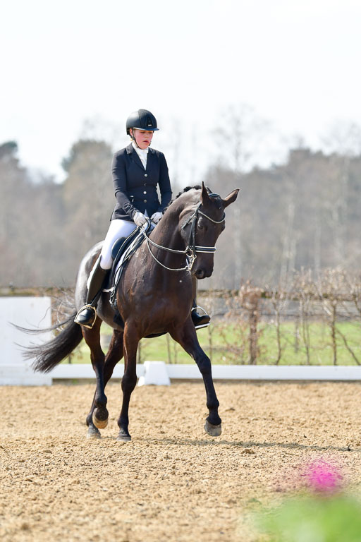 Reitsportzentrum Bremervörde | 10421 Dressur M++_254 