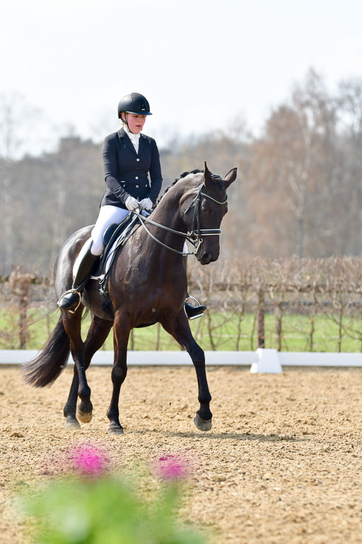 Reitsportzentrum Bremervörde | 10421 Dressur M++_256 