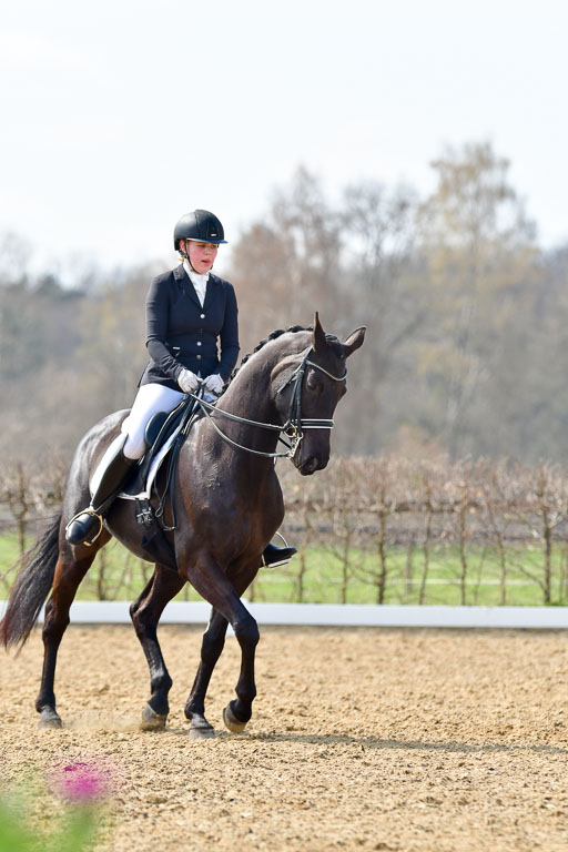 Reitsportzentrum Bremervörde | 10421 Dressur M++_257 