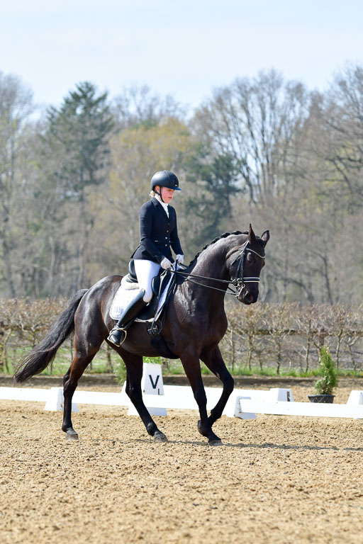 Reitsportzentrum Bremervörde | 10421 Dressur M++_259 