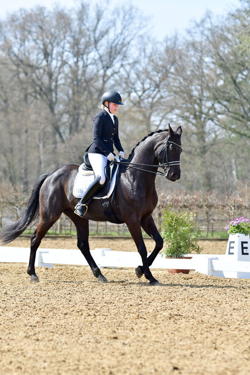 Reitsportzentrum Bremervörde | 10421 Dressur M++_260 