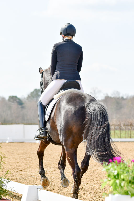 Reitsportzentrum Bremervörde | 10421 Dressur M++_262 