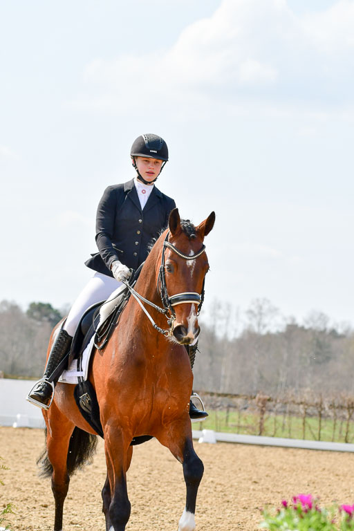 Reitsportzentrum Bremervörde | 10421 Dressur M++_264 