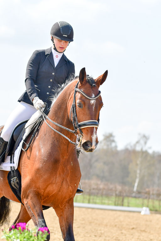 Reitsportzentrum Bremervörde | 10421 Dressur M++_265 