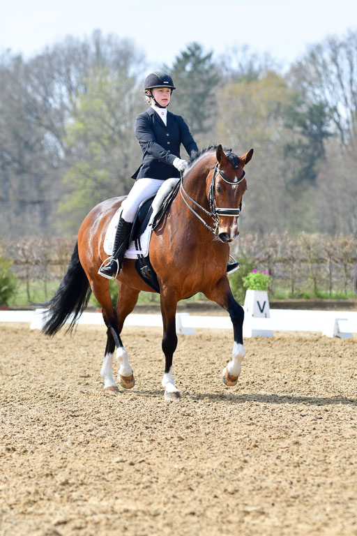 Reitsportzentrum Bremervörde | 10421 Dressur M++_267 