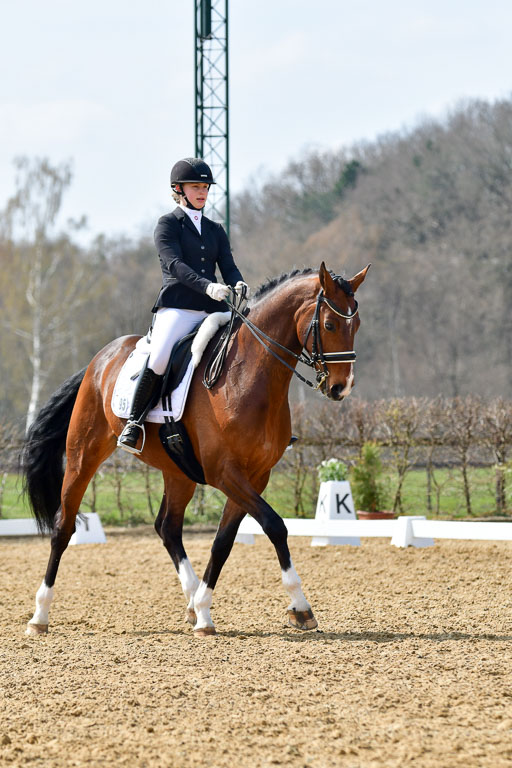 Reitsportzentrum Bremervörde | 10421 Dressur M++_270 