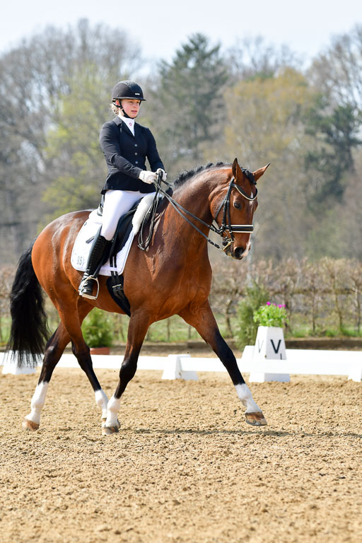 Reitsportzentrum Bremervörde | 10421 Dressur M++_271 