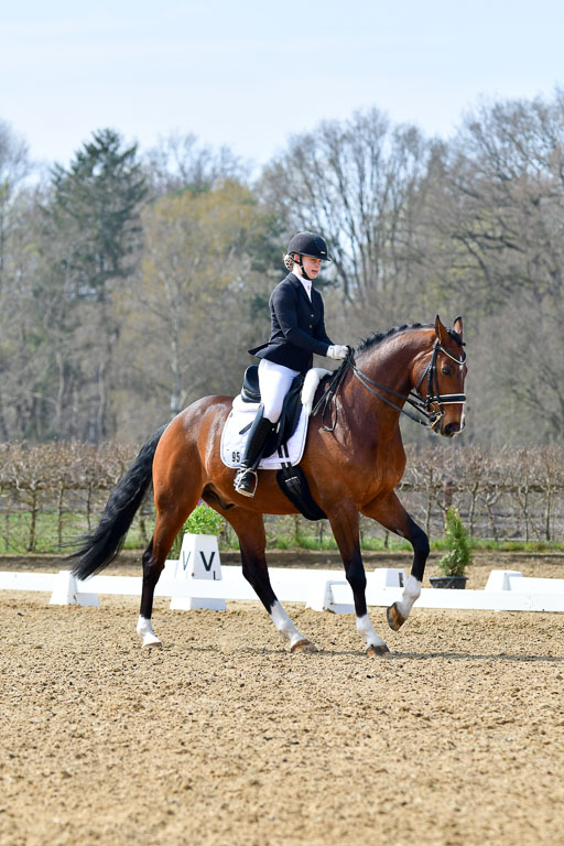 Reitsportzentrum Bremervörde | 10421 Dressur M++_273 