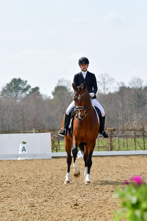 Reitsportzentrum Bremervörde | 10421 Dressur M++_276 