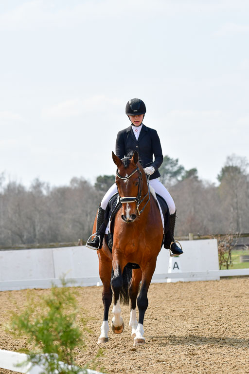 Reitsportzentrum Bremervörde | 10421 Dressur M++_277 