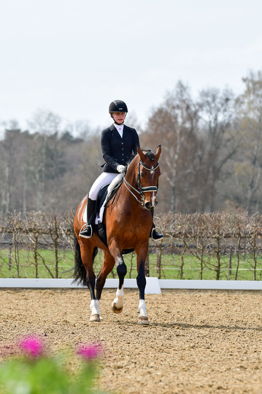 Reitsportzentrum Bremervörde | 10421 Dressur M++_278 