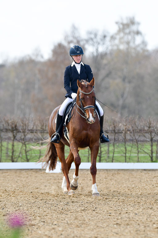 Reitsportzentrum Bremervörde | 10421 Dressur M++_282 