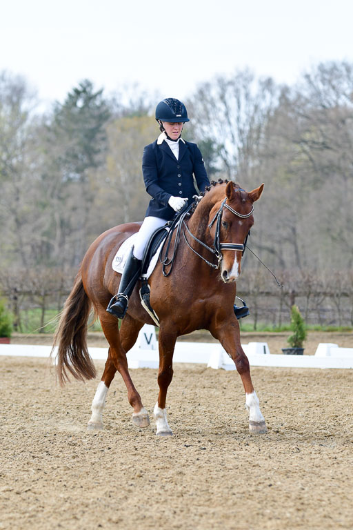 Reitsportzentrum Bremervörde | 10421 Dressur M++_283 