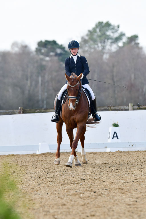 Reitsportzentrum Bremervörde | 10421 Dressur M++_285 