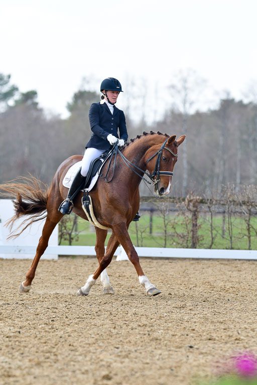 Reitsportzentrum Bremervörde | 10421 Dressur M++_286 