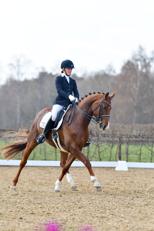 Reitsportzentrum Bremervörde | 10421 Dressur M++_287 