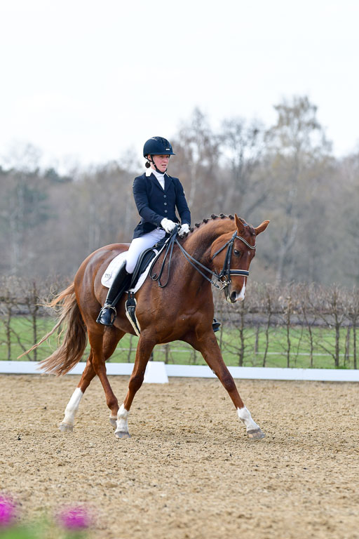 Reitsportzentrum Bremervörde | 10421 Dressur M++_288 