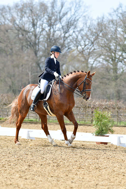 Reitsportzentrum Bremervörde | 10421 Dressur M++_290 