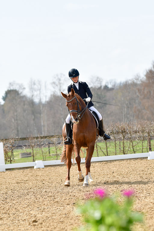 Reitsportzentrum Bremervörde | 10421 Dressur M++_292 