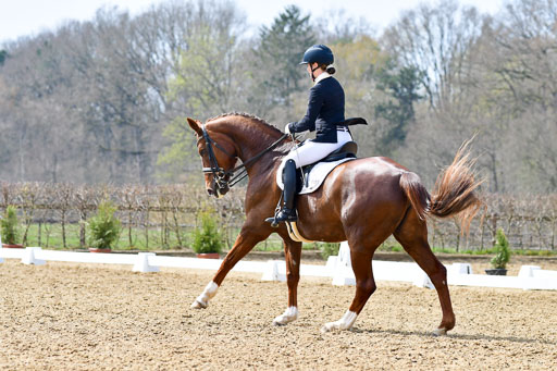 Reitsportzentrum Bremervörde | 10421 Dressur M++_294 