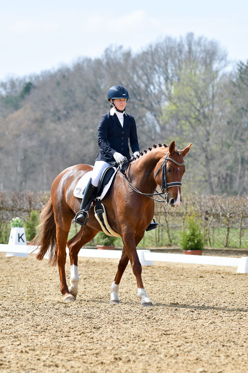 Reitsportzentrum Bremervörde | 10421 Dressur M++_295 