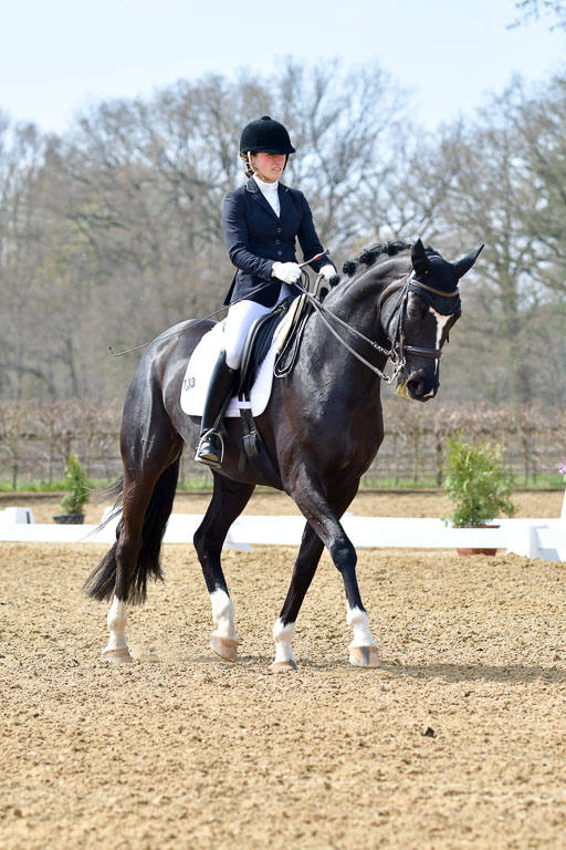 Reitsportzentrum Bremervörde | 10421 Dressur M++_300 